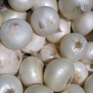 Fresh Indian White Onion
