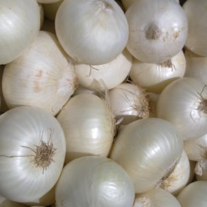 Big White Onion