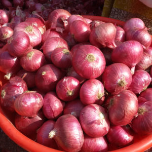 Big Red Onion