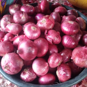 Indian Red Onion