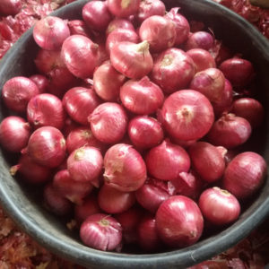 Nashik Red Onion