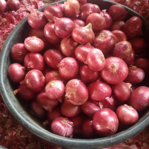 Small Red Onion